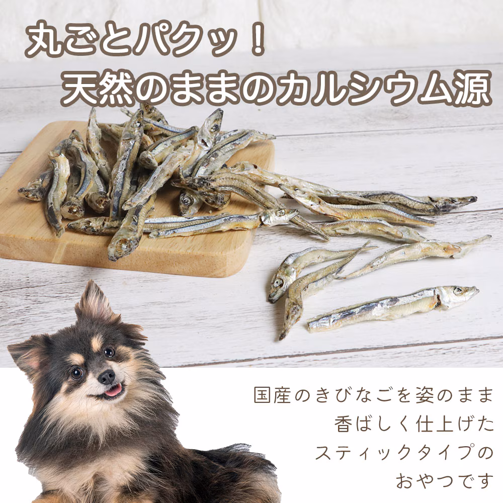 わんのはな きびなご