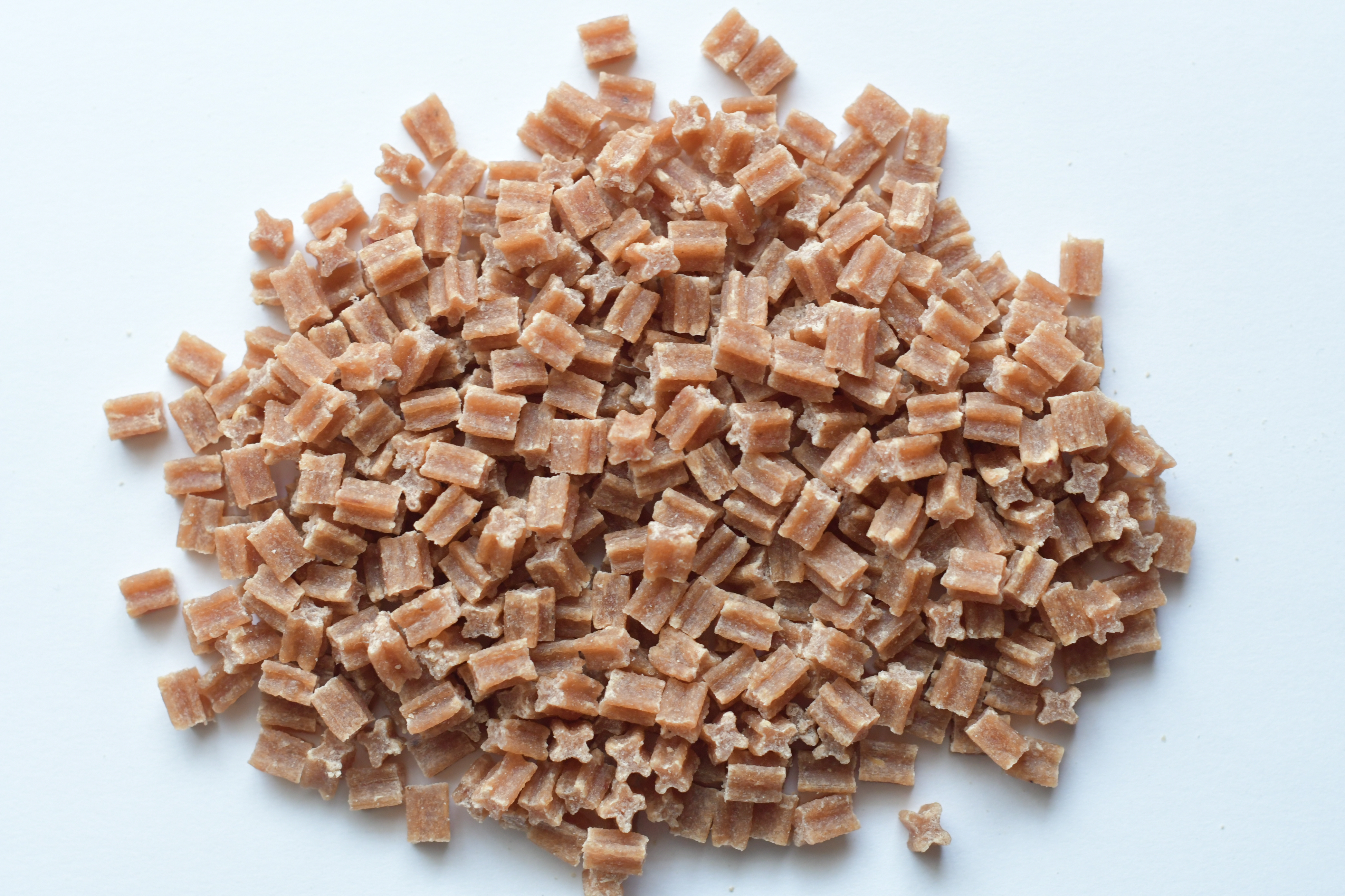 ドッグヴォイス　シニア （8歳からの犬用）　１００ｇ