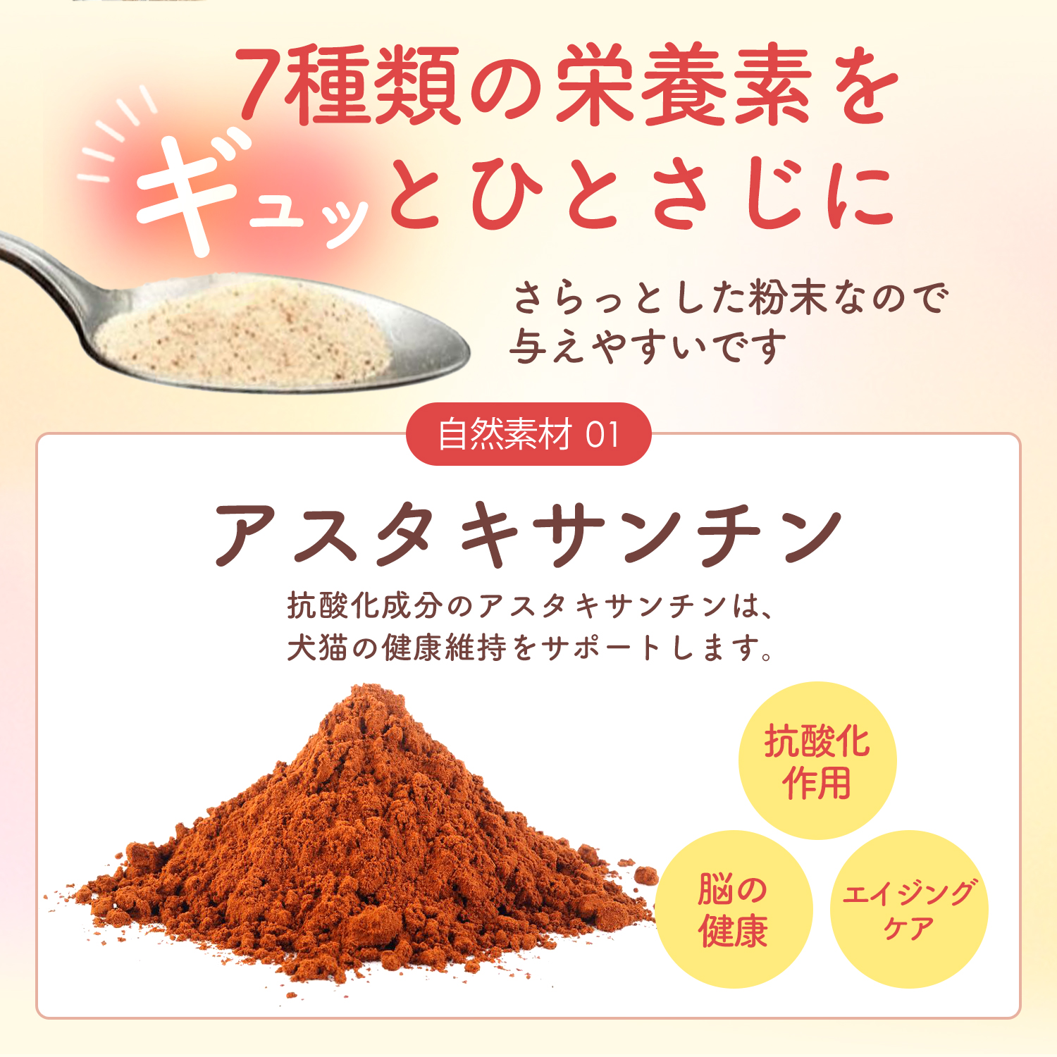 アスタシールド