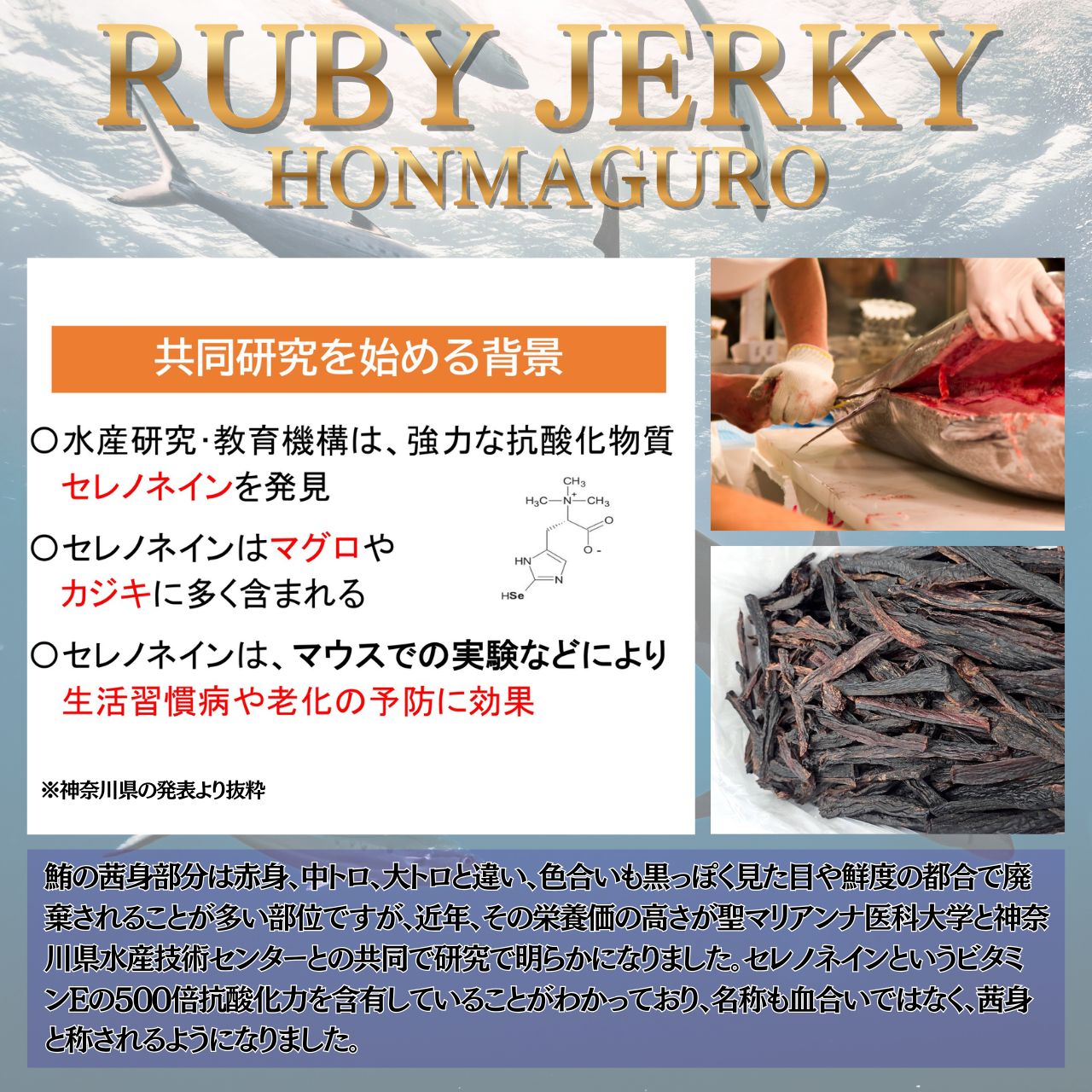 RUBY JERKY HONMAGURO