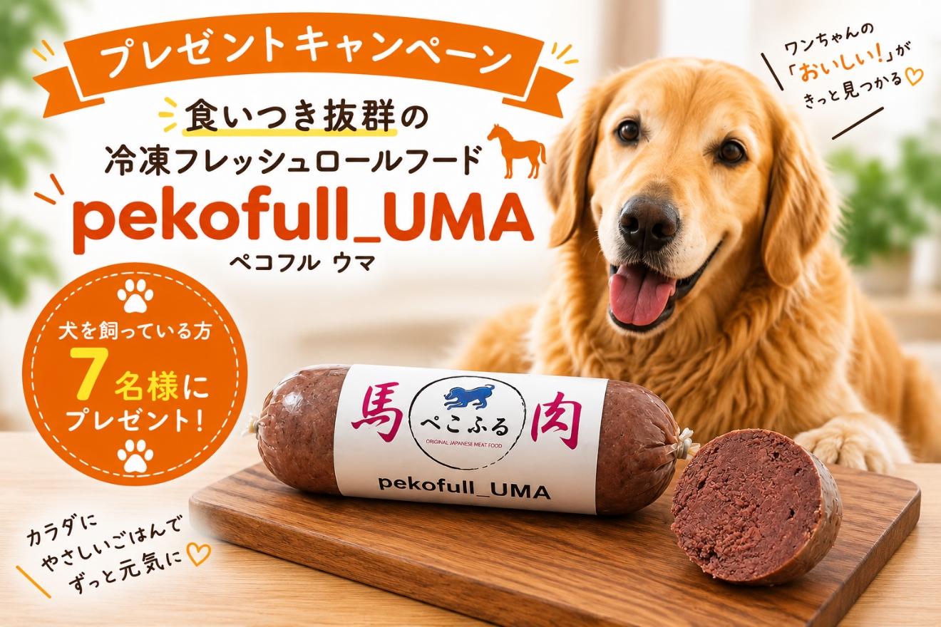 トップバナー
