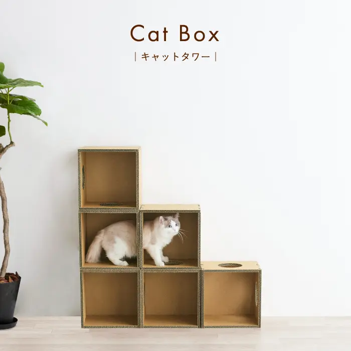 キャットボックス