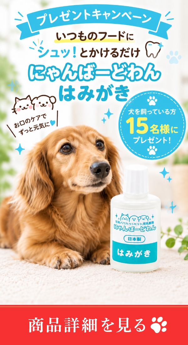 バナー