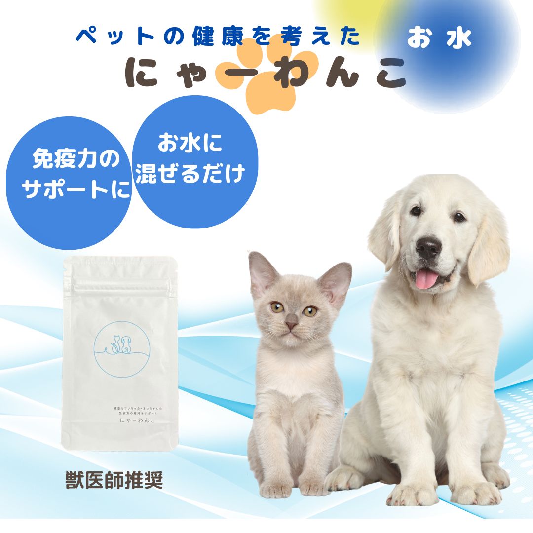 にゃーわんこ