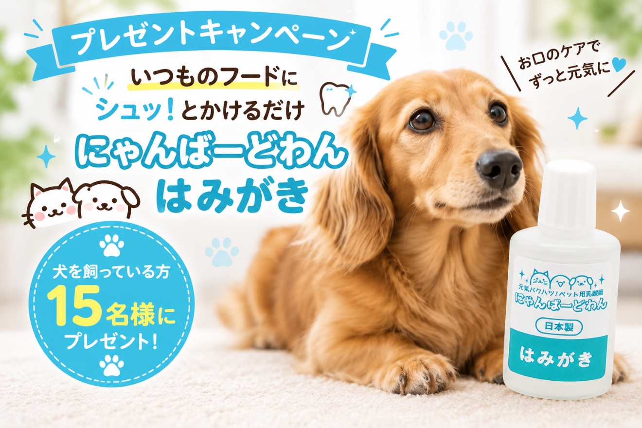 トップバナー