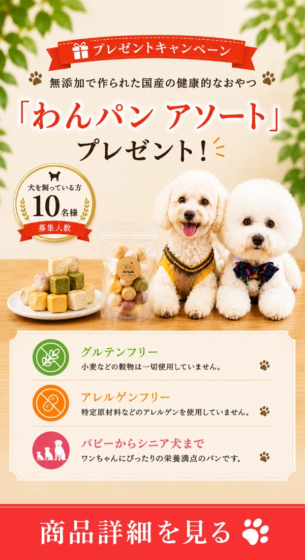 バナー