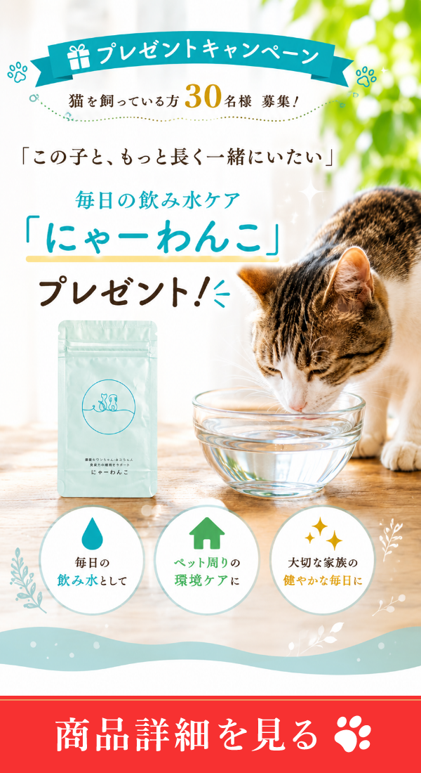 バナー