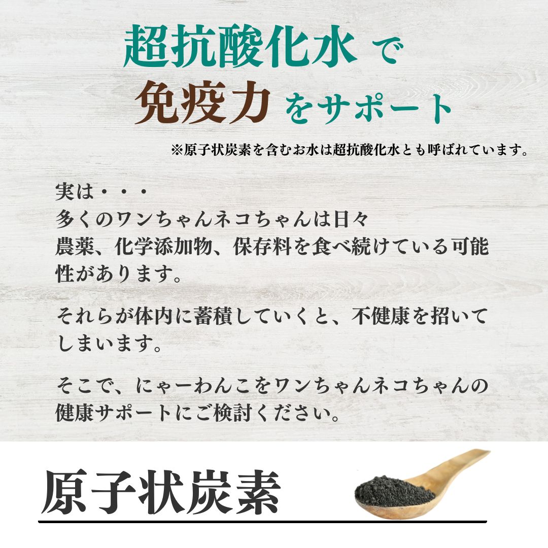 にゃーわんこ