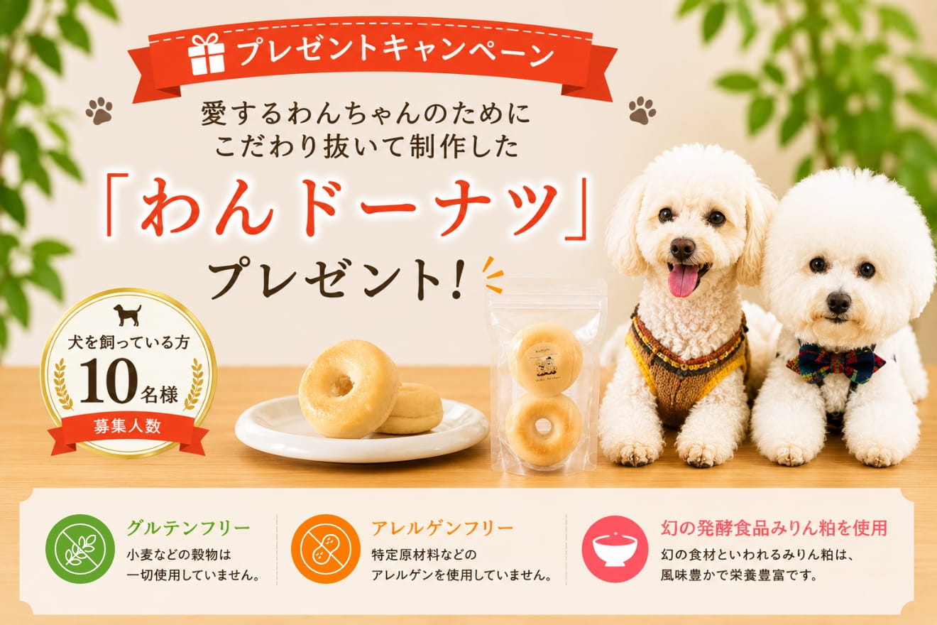 トップバナー