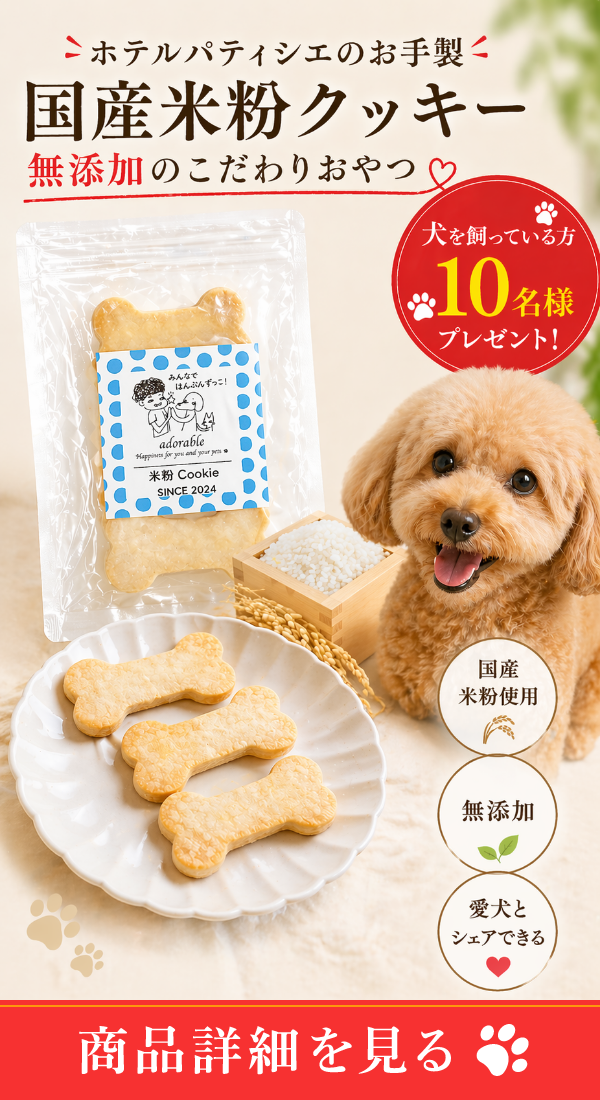 バナー
