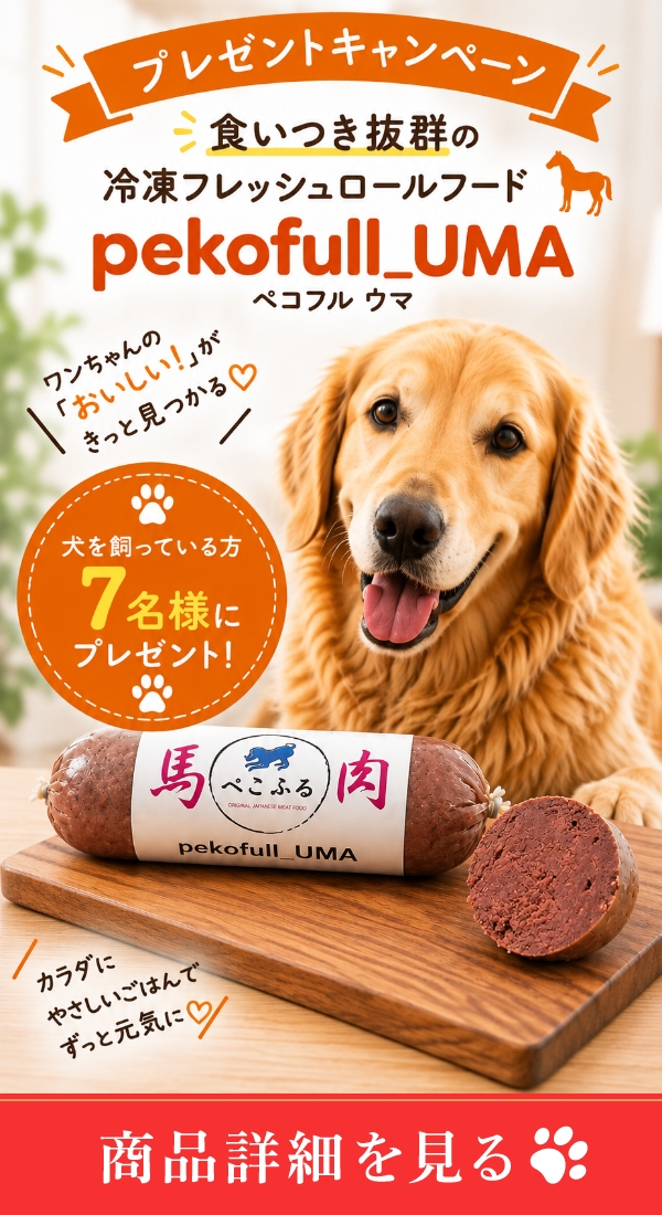バナー