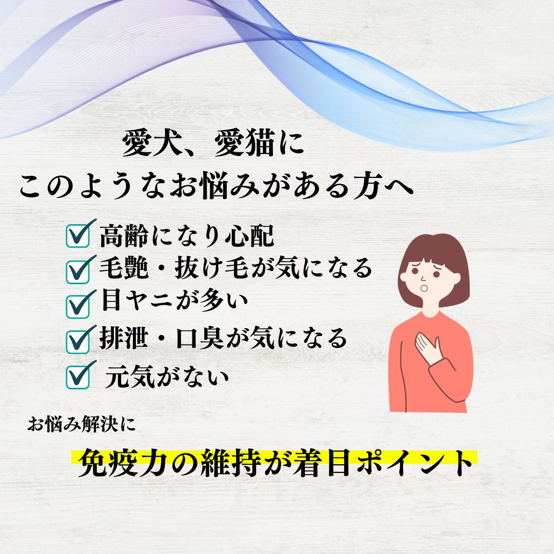 にゃーわんこ