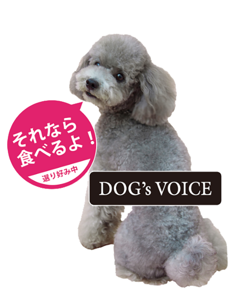 ドッグヴォイス　シニア （8歳からの犬用）