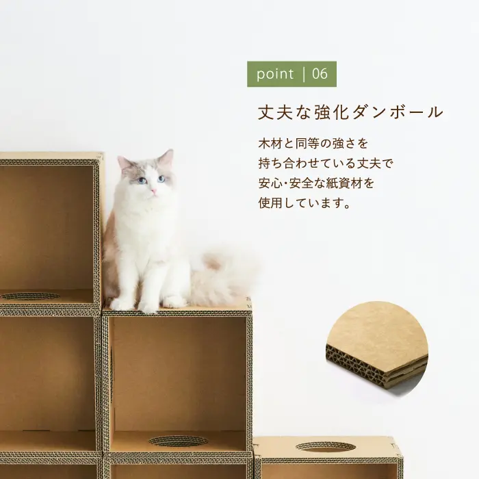 キャットボックス