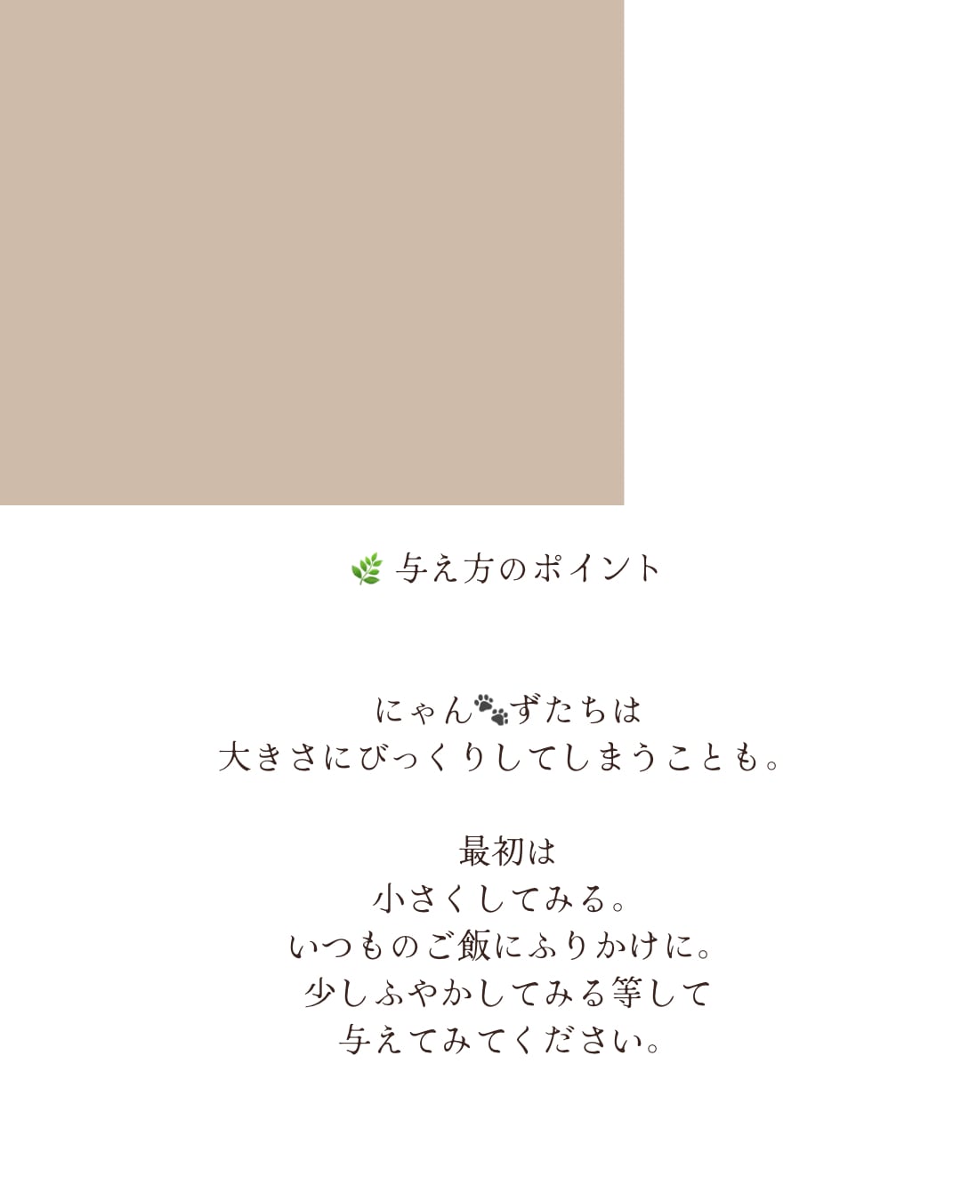 国産鶏胸肉　無添加ジャーキー