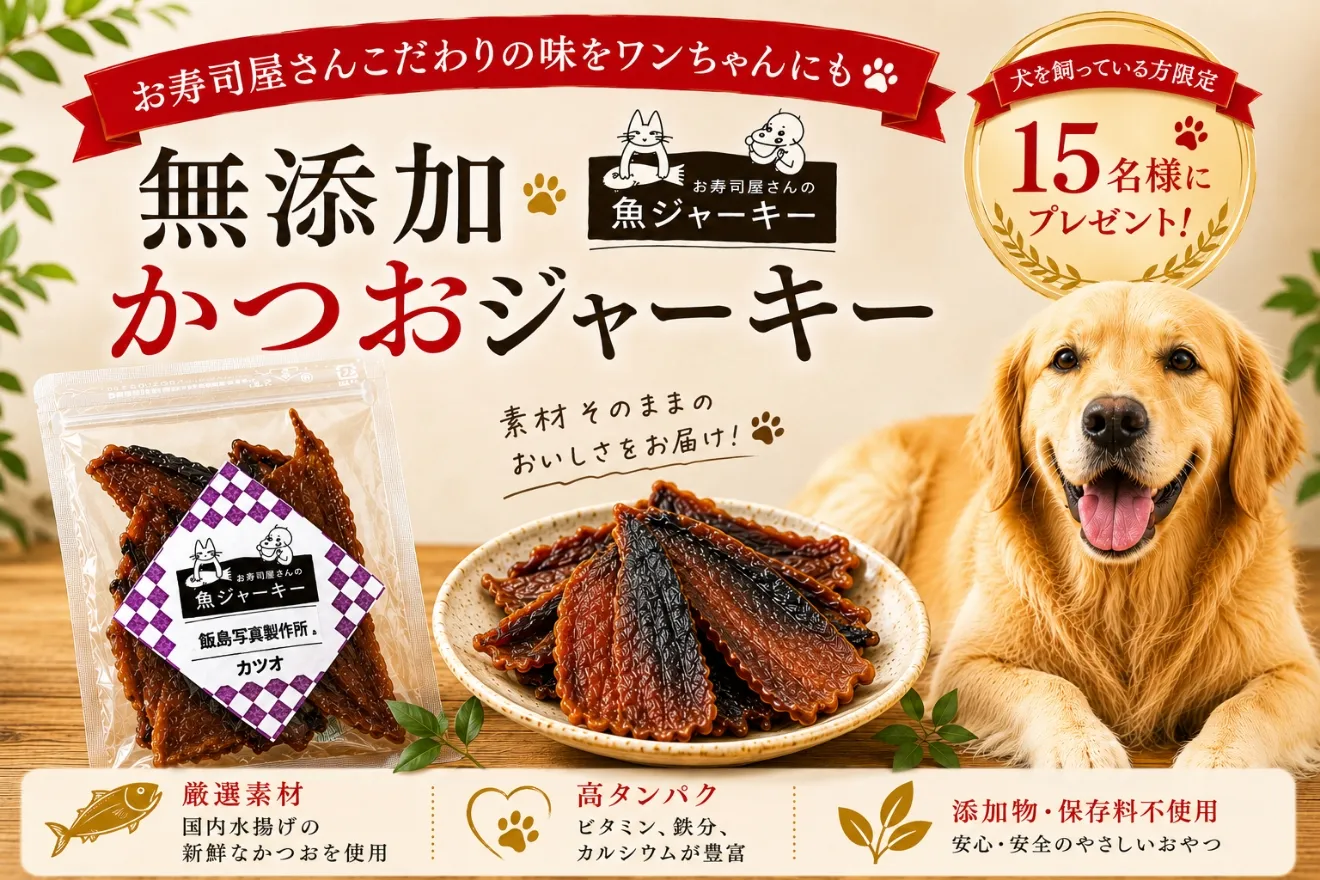 トップバナー