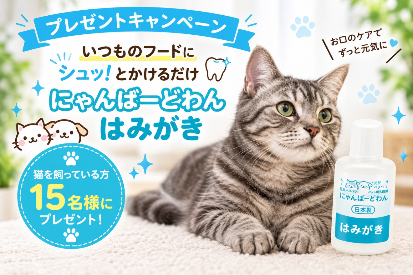 トップバナー