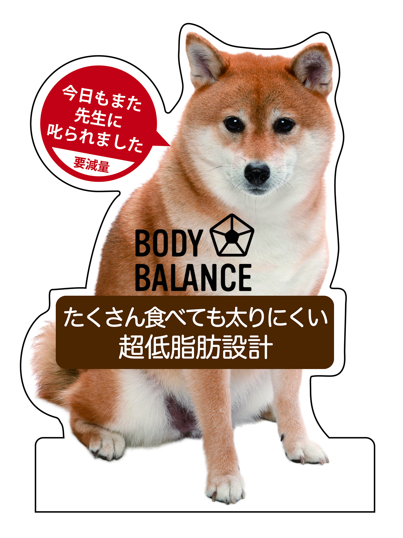 BODY BALANCE 320アダルトウエイトマネジメント　４ｋｇ