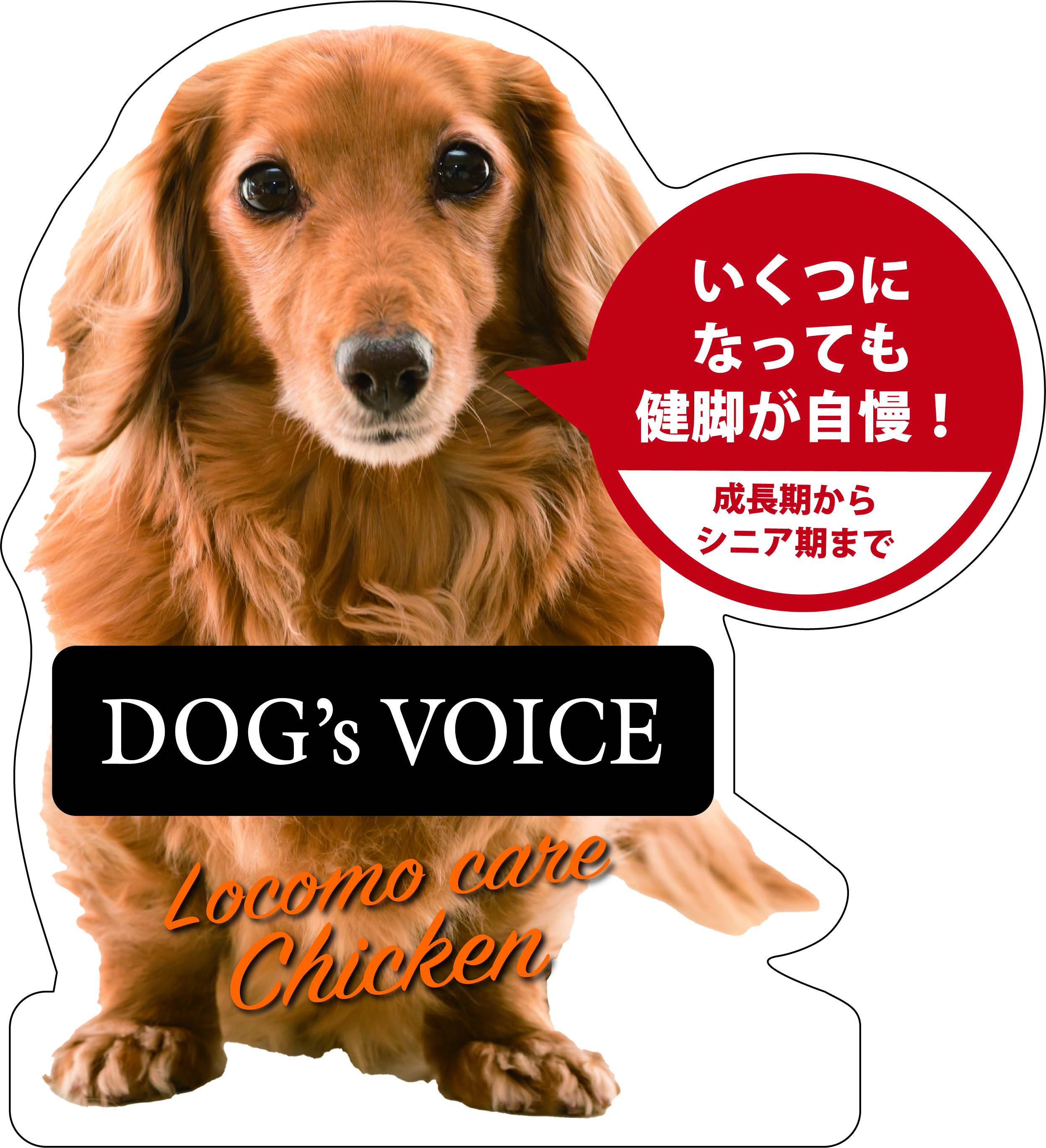 ドッグヴォイス　ロコモケアチキン 骨・筋肉・関節の健康維持が気になる犬用 （オールステージ）