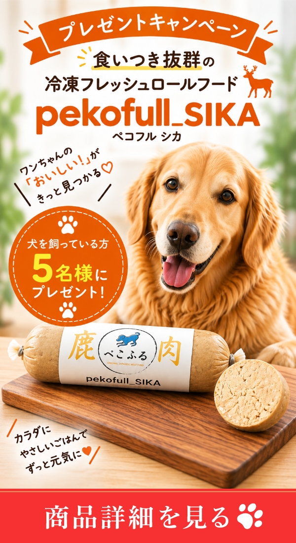 バナー
