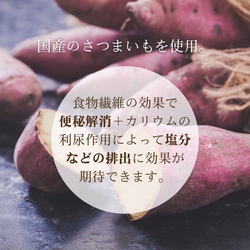 わんのはな 恋するふといもちゃん