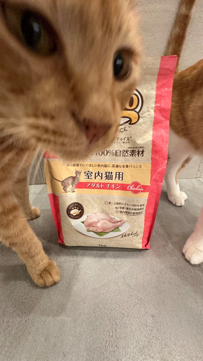 口コミ画像