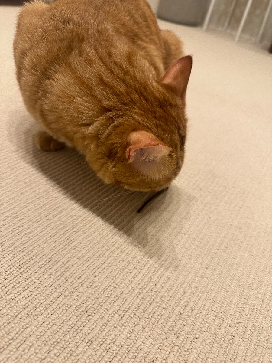 口コミ画像