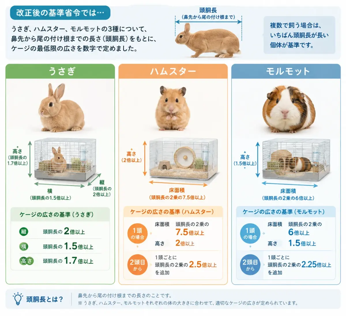 ケージの基準｜うさぎ・ハムスター・モルモットのケージに数値基準、環境省が省令を改正——ふれあいのルールは犬猫にも（2027年6月施行）