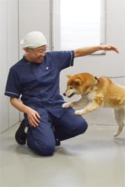 獣医師 荒川満平