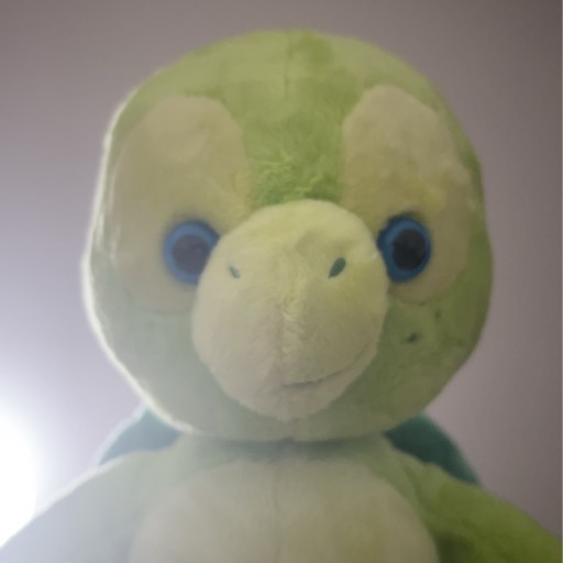 かめなし