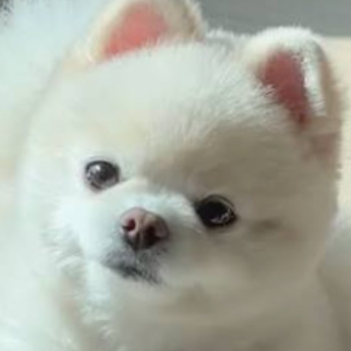 フラン