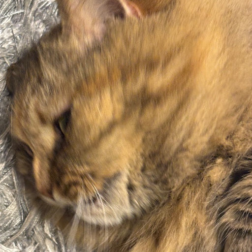ジャイアン