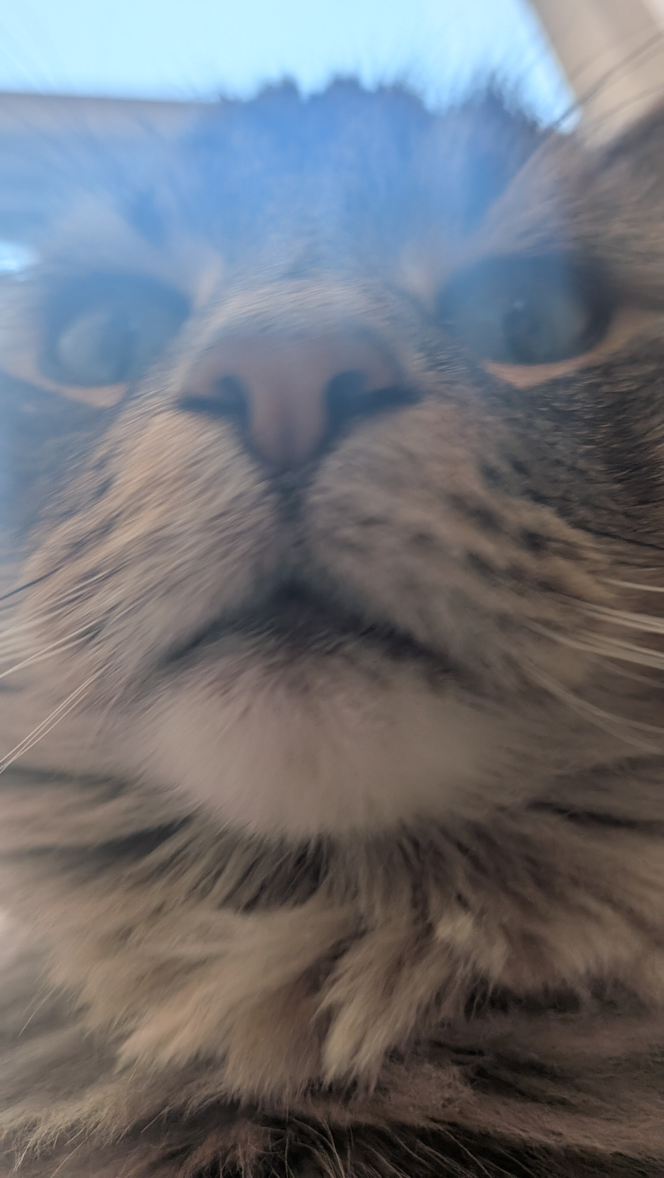 Kiryu